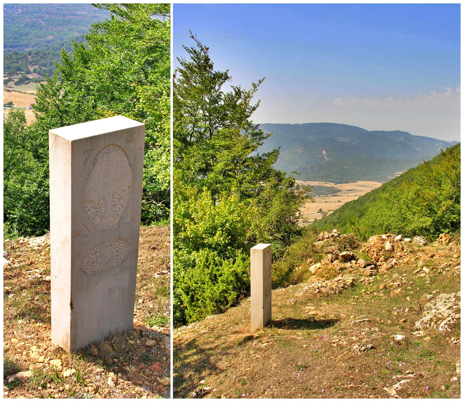 Miradas y reflexiones 004